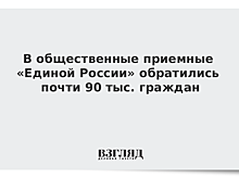 В общественные приемные «Единой России» обратились почти 90 тыс. граждан