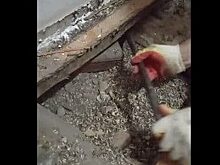 Клад правнука Радищева нашли в Саратовской области