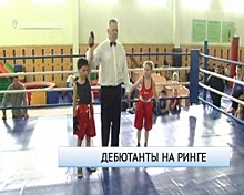 В Иглино прошло Открытое первенство детско-юношеской спортивной школы по боксу