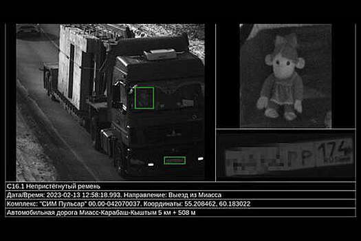 Водителя оштрафовали за непристегнутый ремень из-за игрушечной обезьяны в кабине