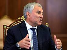 Володин высказался о релокантах в Европе после разрешения там порошка из личинок червя