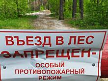 В Курской области планируют ввести особый противопожарный режим
