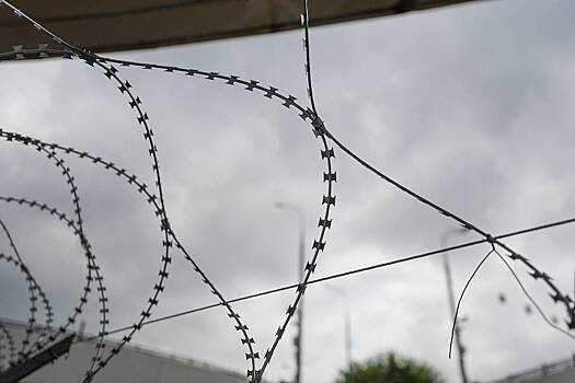 Жена российского миллиардера попала в колонию за растрату 133 млн рублей