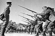 «Трехлинеечка родная!» Российская винтовка Мосина прошла все войны XX века. Как появилось это легендарное оружие?