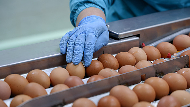 Минсельхоз России спрогнозировал снижение цен на яйца в ближайшее время