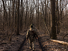 ТАСС: солдаты ВСУ активно сдаются в плен через QR-код на "долларах"