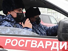 Сотрудники Росгвардии задержали троих похитителей в разных магазинах Вологды
