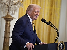 Telegraph: Трамп предложит РФ добычу минералов на Аляске