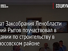 Депутат Заксобрания Ленобласти Дмитрий Рытов поучаствовал в совещании по строительству в Ломоносовском районе
