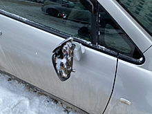 Банду крушителей автомобилей разыскивают новосибирцы с «Троллейки»