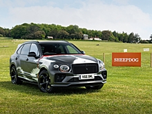 Bentley показала особую Bentayga для собаководов