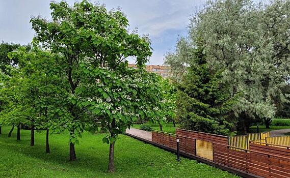 В Железногорске сделают «сухой» фонтан из 16-ти струй