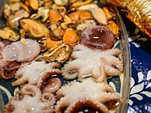 Производство устриц и мидий в Краснодарском крае выросло на 65% с 2020 года