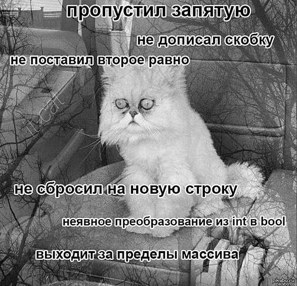 Давид Хейнемейер Ханссон. «Когда-то я был достаточно наивен, надеясь, что мне достаточно будет хорошо выучить один язык». 