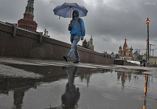 Половина месячной нормы осадков выпадет в Москве за три дня