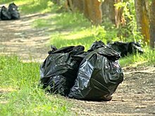 С берегов пруда в Арбекове собрали десятки мешков с мусором