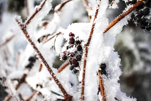 Рабочая пятидневка в Подмосковье завершится сильной гололедицей и метелью