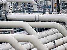 В Германии назвали последствия отказа Украины от российского газа для Европы