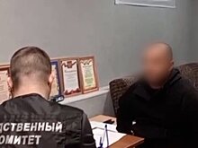 Четверо сотрудников рехаба в Егорьевске признали вину