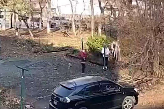 Пенсионерка с бревном напала на соседок во Владивостоке