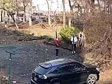 Пенсионерка с бревном напала на соседок во Владивостоке