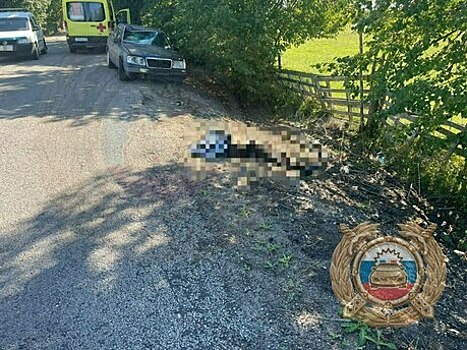 Виновник ДТП под Гурьевском, где насмерть сбили велосипедиста, попал под «уголовку»