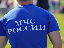 Стали известны подробности сильного пожара в Новосибирском зоопарке