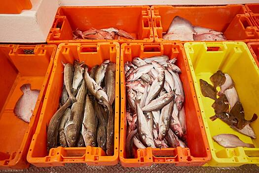 Скандинавская страна пригрозила России мелкой рыбой