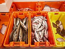 Скандинавская страна пригрозила России мелкой рыбой