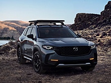 Названы самые безопасные семейные кроссоверы