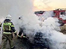 В Крыму за неделю произошло 77 случаев возгорания травы и кустарников