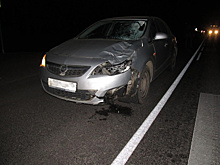 На трассе «Тамбов-Пенза» «Lexus» сбил пешехода