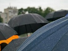 Дождь, туман и сильный ветер: погода в Калининградской области на субботу