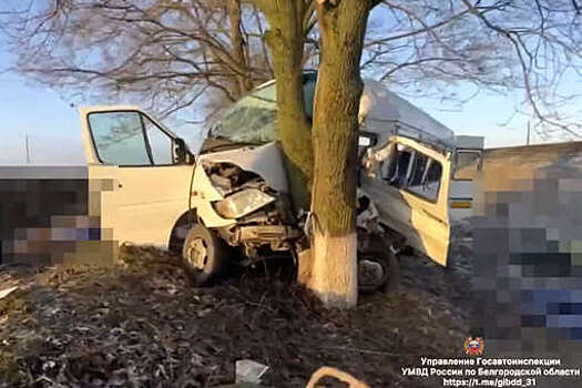 Двое белгородцев не выжили, шесть пострадали в ДТП с микроавтобусом и грузовиком