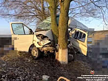 Двое белгородцев не выжили, шесть пострадали в ДТП с микроавтобусом и грузовиком
