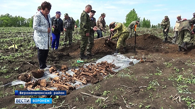 В Воронежской области нашли останки четырёх красноармейцев