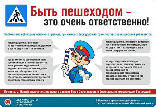 Каждому пешеходу под силу уменьшить риск возникновения ДТП (инфографика)