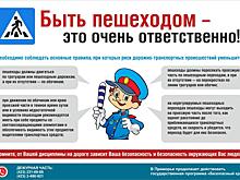 Каждому пешеходу под силу уменьшить риск возникновения ДТП (инфографика)