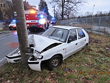 Рыба стала причиной серьёзной аварии