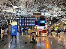 Названо число задержанных в Москве рейсов из-за атаки дронов 1 сентября