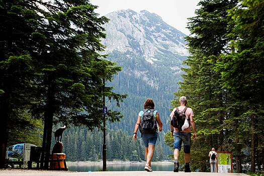 Власти Черногории раскрыли подробности о решении ввести визы для россиян