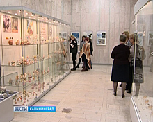 Калининградский историко-художественный музей организовал выставку «Фарфоровая хрупкость фауны»