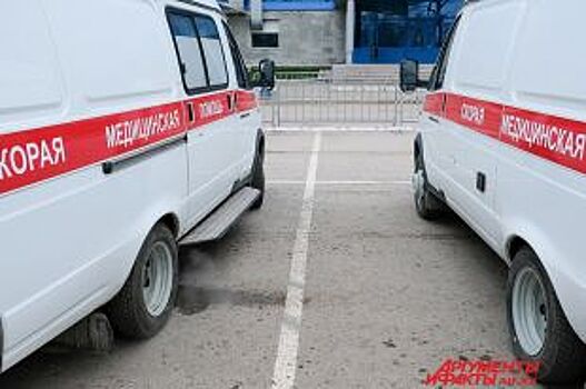 В лобовом ДТП двух ВАЗов на трассе под Воронежем погибли оба водителя