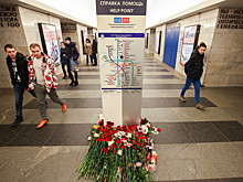 Метрополитен Петербурга готов возместить пострадавшим ущерб в размере до 2 млн руб.
