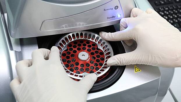 Глава центра «Вектор» Агафонов оценил перспективы победы над ВИЧ