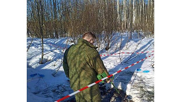 Расчлененные и сожженные тела в лесополосе: что известно о жестоком убийстве в Южном Бутове