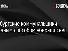 Петербургские коммунальщики необычным способом убирали снег - видео