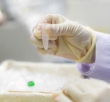 Предприятие Ростеха запускает производство медицинских микропробирок
