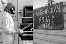 Секретные материалы: история эпидемии сибирской язвы в СССР