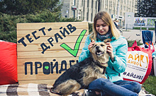 Приют для бездомных животных уже 26 лет работает в Дзержинском районе